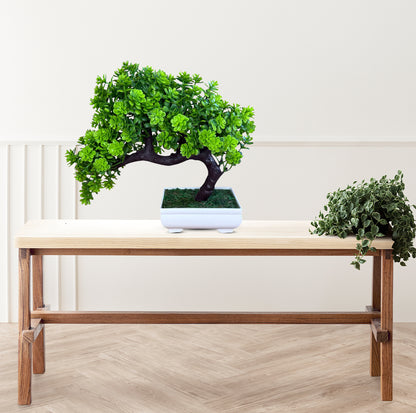 Gorgeous Bonsai in Attractive Pot w/your Choice of Color-Good Gift