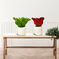 Artificial Stunning Plant with Ceramic Pot-Good Gift