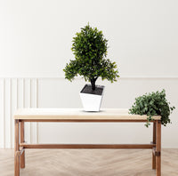 artificial bonsai plant with attractive ceramic pot