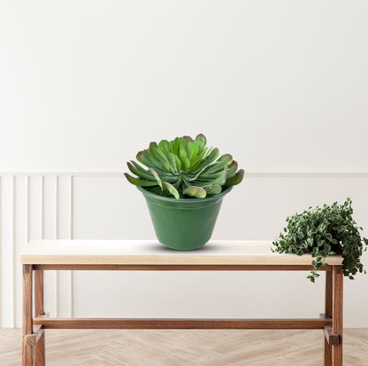 Cute Tree Houseleek Succulent in Plastic Pot - Artificial