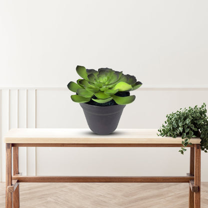 Gorgeous Echeveria in Color of Your Choice - Artificial