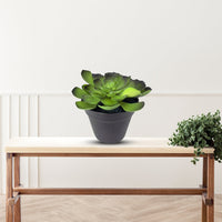 Gorgeous Echeveria in Color of Your Choice - Artificial