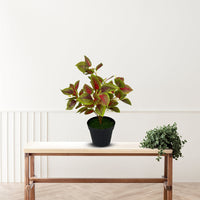 Artificial Gorgeous Leaves in Plastic Pot -Good Gift