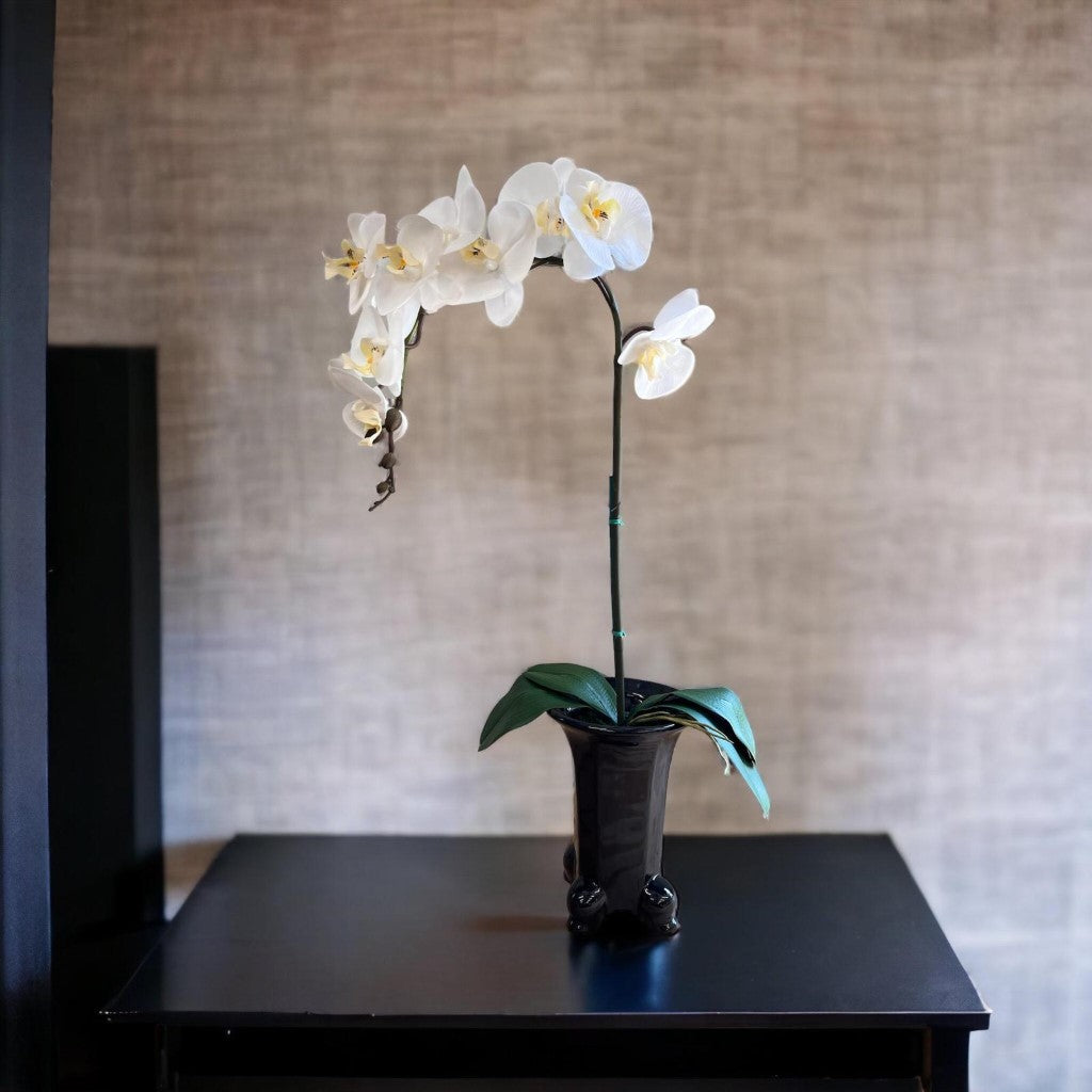 Stunning Orchids in Legged Pot