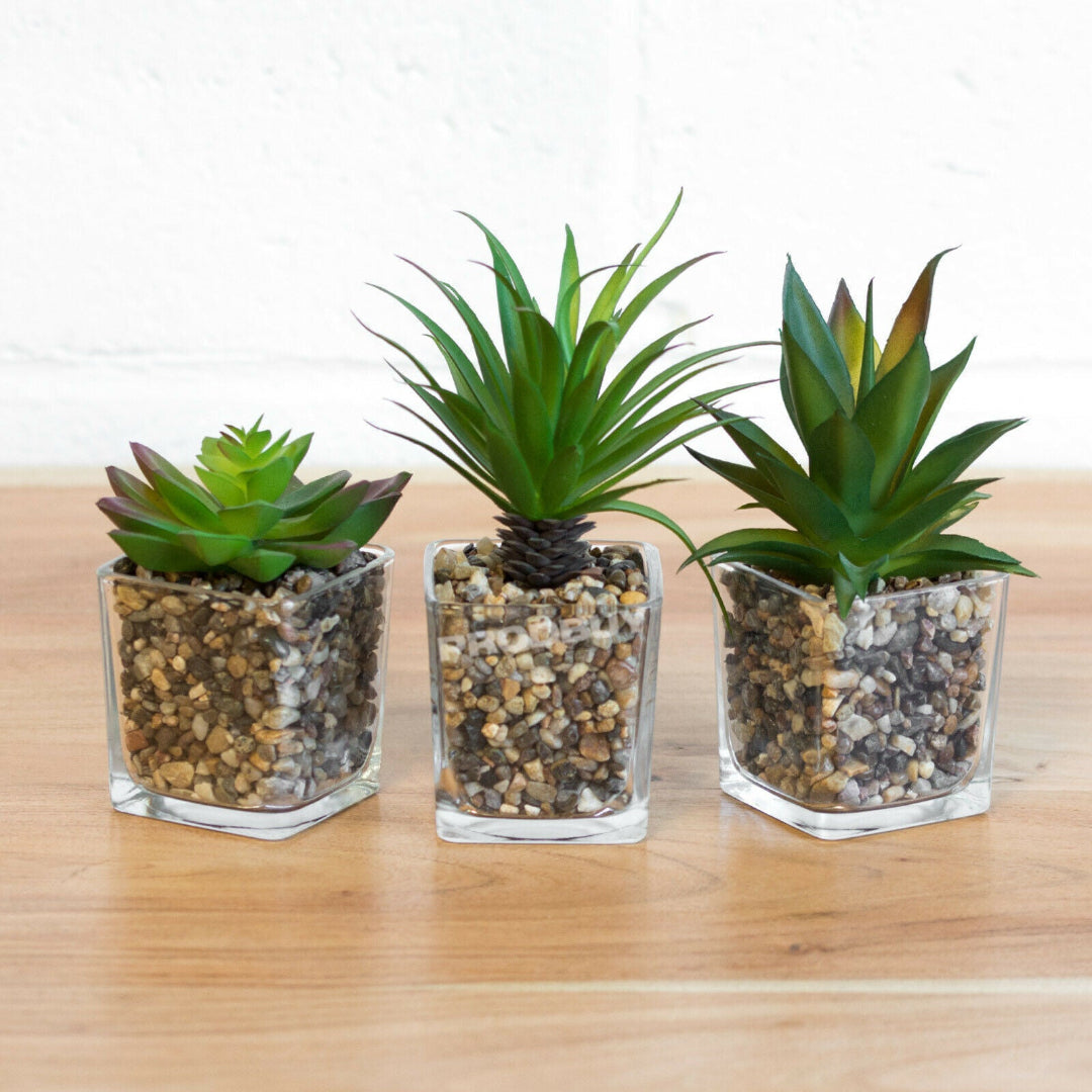 Artificial Plant : Green Potted Cactus Set of 3