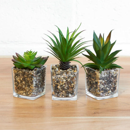 Artificial Plant : Green Potted Cactus Set of 3