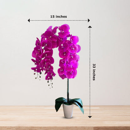 Gorgeous Artificial Orchids in Black Ceramic Legged Pot