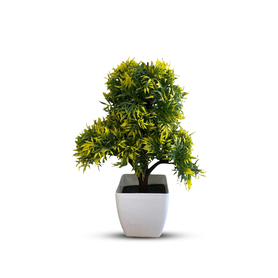 Gorgeous Bonsai with Very Attractive Pot - Green Color (Artificial)  Good Gift