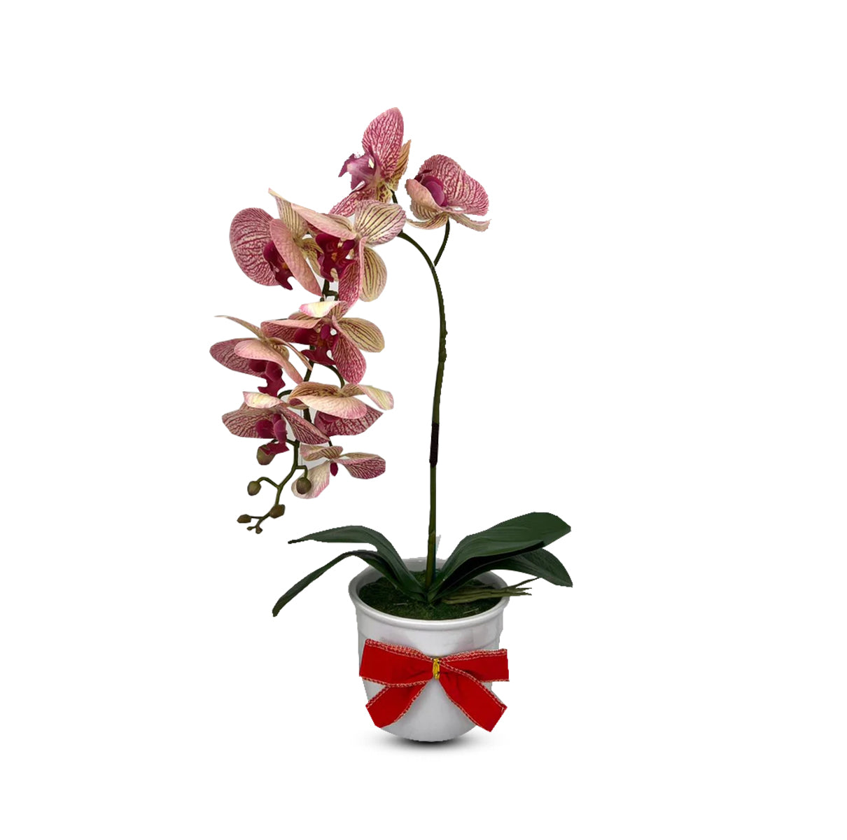Beautiful Variegated Orchid-Artificial (The Perfect Christmas Gift)