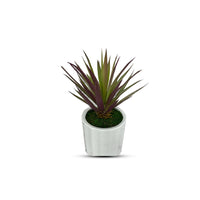 Artificial Plant - Gorgeous Succulents in Ceramic Pot-Good Gift