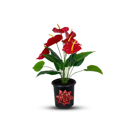 Gorgeous Artificial Anthurium Plant
