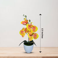 Gorgeous Orange Mini Orchid In Different Type of Pot - Artificial