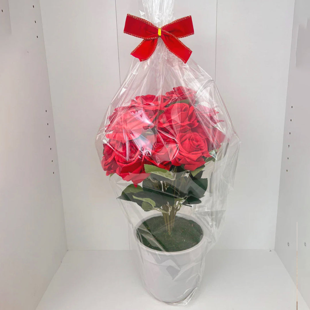 Beautiful 2 Dozen Roses in Ceramic Pot (Good Gift)