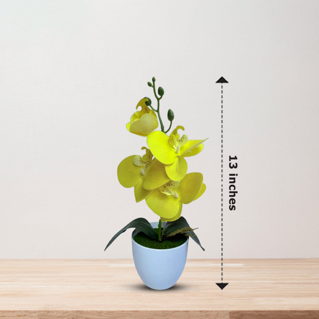 Gorgeous Yellow Mini Orchid Artificial Plant in Decorative Plastic Pot