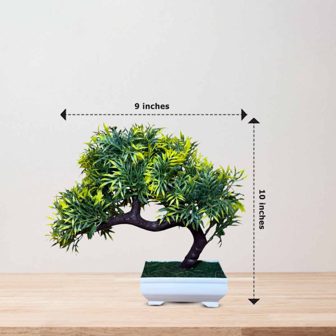 Yellow and Green Sideways Bonsai -Good Gift