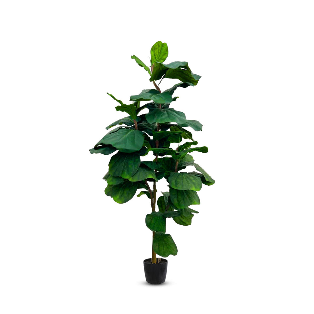 7 foot faux fiddle leaf fig tree Artificial 7 ft Fiddle Leaf Tree with Big Leafs