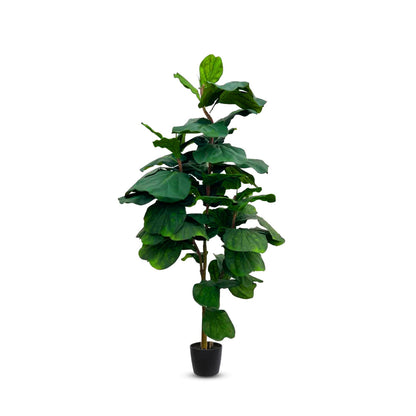 Artificial 7 ft Fiddle Leaf Tree with Big Leafs
