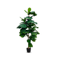 Artificial 7 ft Fiddle Leaf Tree with Big Leafs