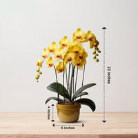 Artificial Plant - Gorgeous Yellow Orchid – Good Gift
