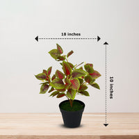 Artificial Gorgeous Leaves in Plastic Pot -Good Gift