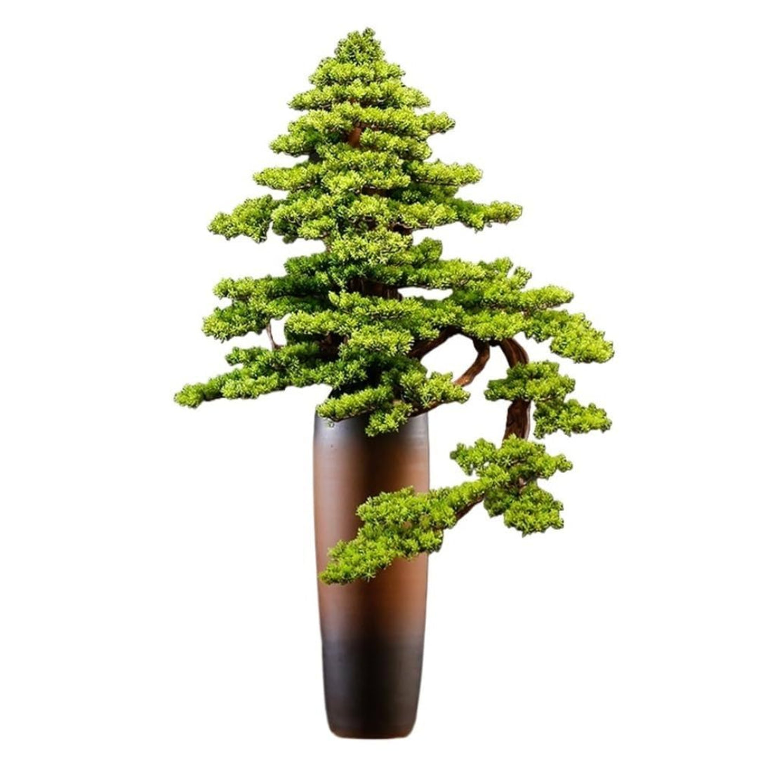 Gorgeous Bonsai in various colors ~ The Perfect Gift