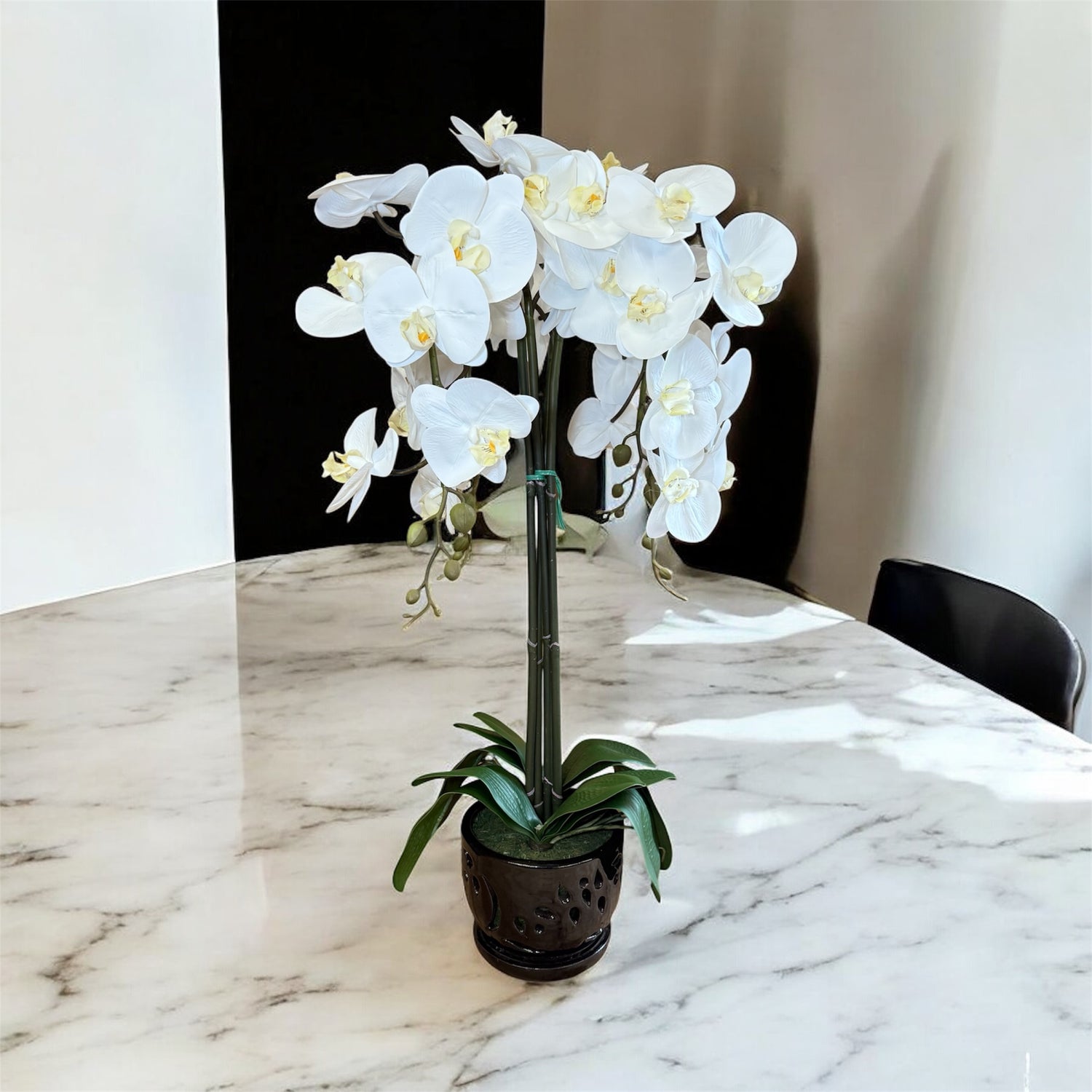 Elegant White Orchid in Black Ceramic Pot – Perfect Gift for Any Occasion