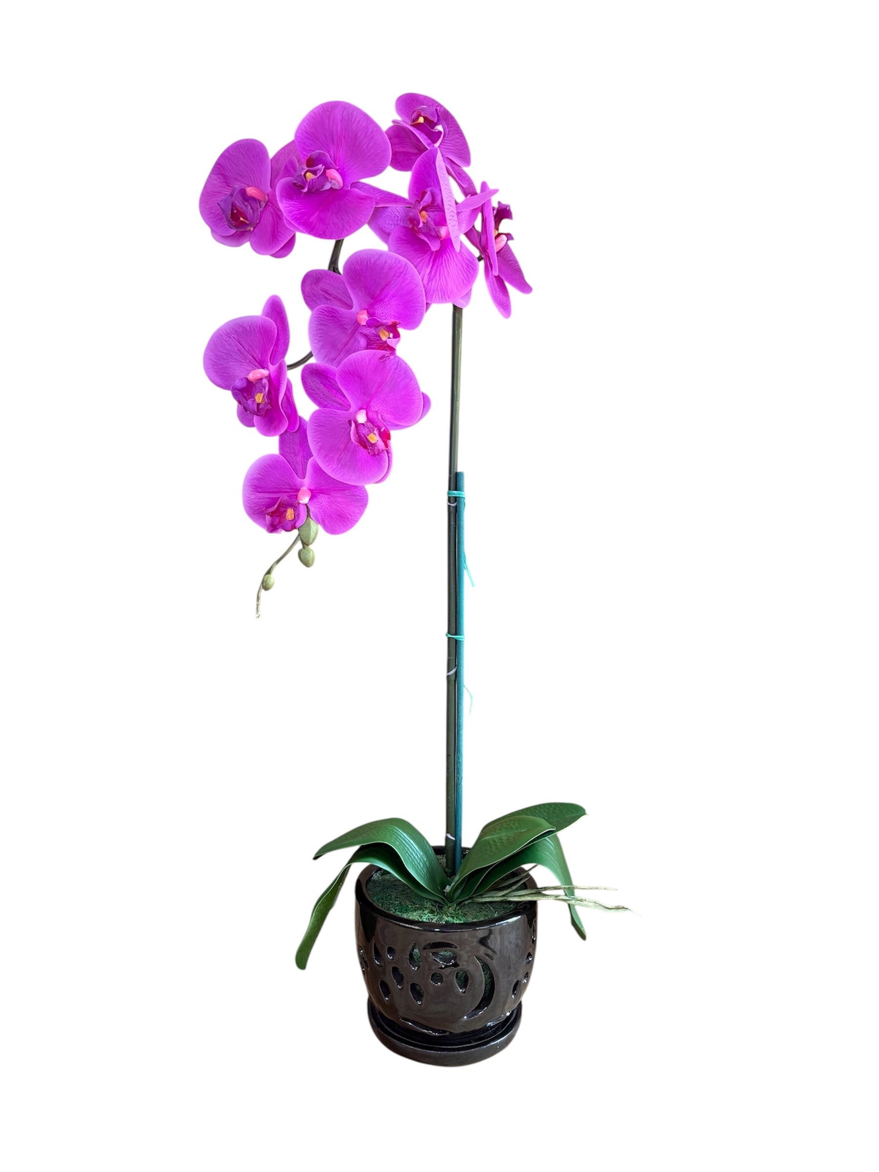 Elegant Purple Orchid in Black Ceramic Pot