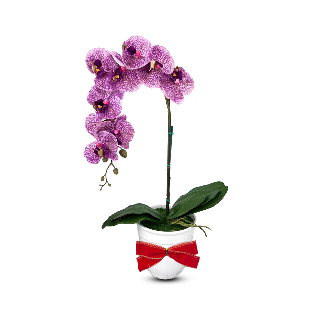Beautiful Variegated Orchid-Artificial (The Perfect Christmas Gift)
