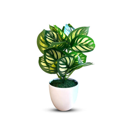Artificial Plant : 11 Inches Green Potted Succulent-Good Gift