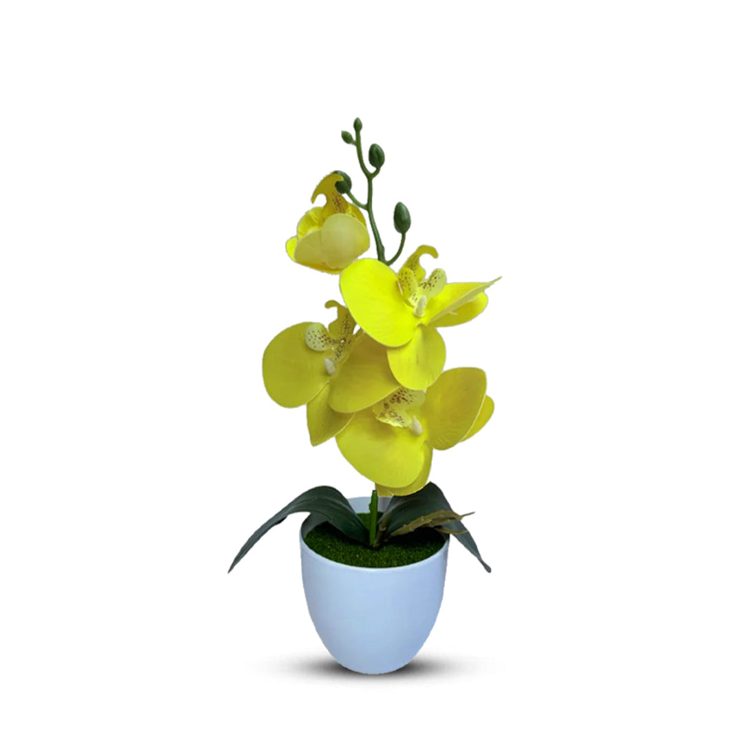 Gorgeous Yellow Mini Orchid In Different Type of Pot - Artificial