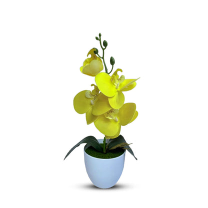 Gorgeous Yellow Mini Orchid Artificial Plant in Decorative Plastic Pot