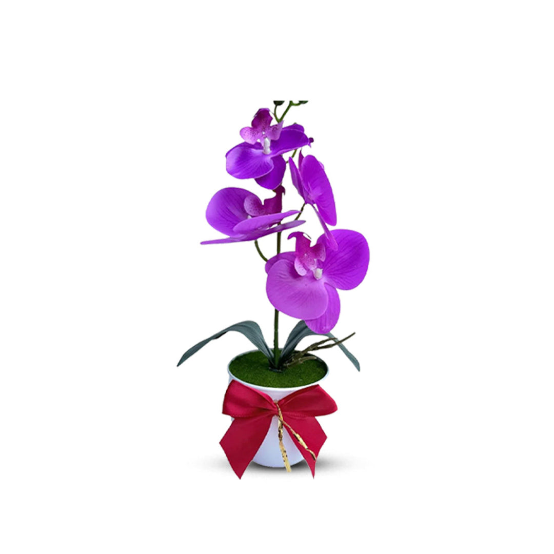 Gorgeous Purple Mini Orchid In Plastic Pot - Artificial