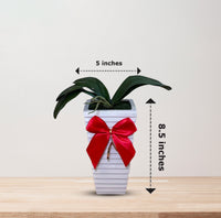 Artificial Stunning Orchid in Tall Ceramic Pot-Good Gift