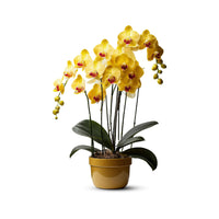 Artificial Plant - Gorgeous Yellow Orchid – Good Gift