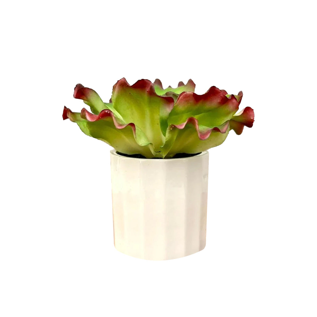 Gorgeous Artificial Plant in Plastic Pot -Good Gift