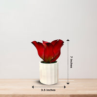 Artificial Stunning Plant with Ceramic Pot-Good Gift