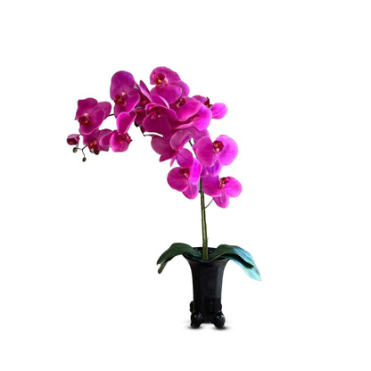 Stunning Orchids in Black Ceramic Legged Pot-Artificial (Perfect Gift)