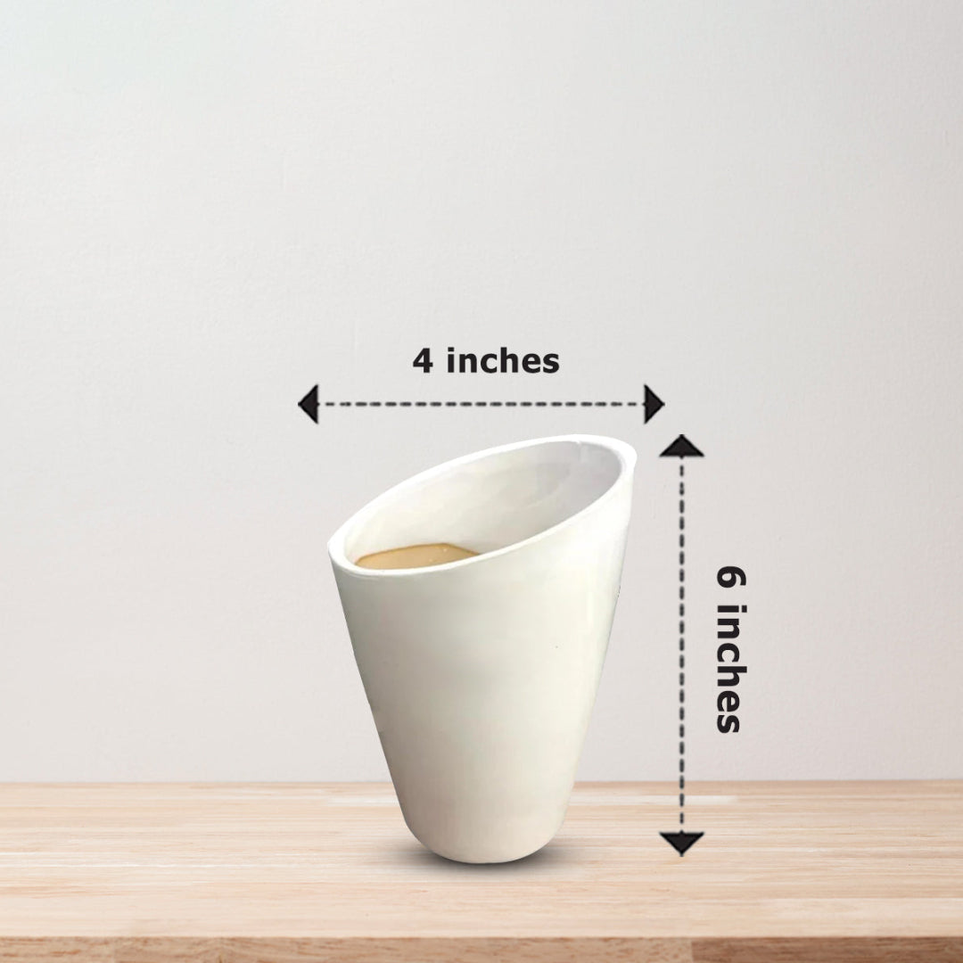 Stunning Orchids - Perfect Gift