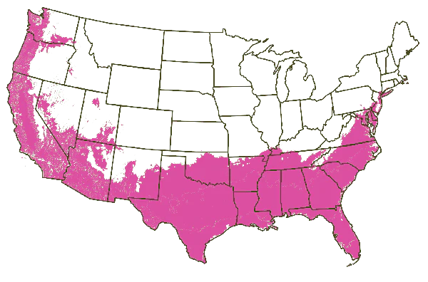 Growing Zones