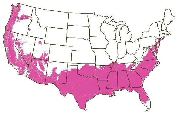 Growing Zones