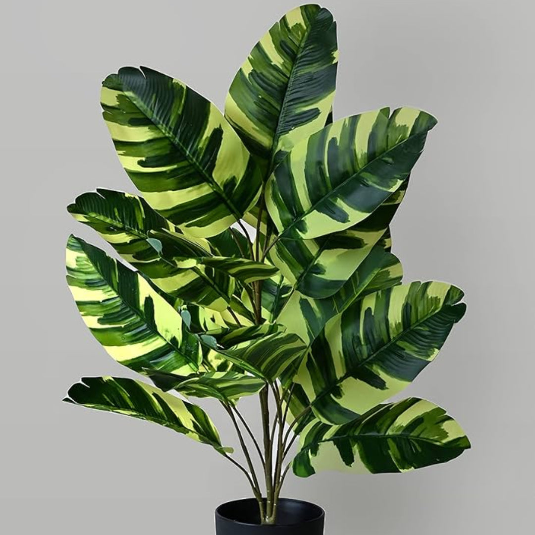 Artificial Plant : Green Zebra in Pot with 125 Real Touch Leaves