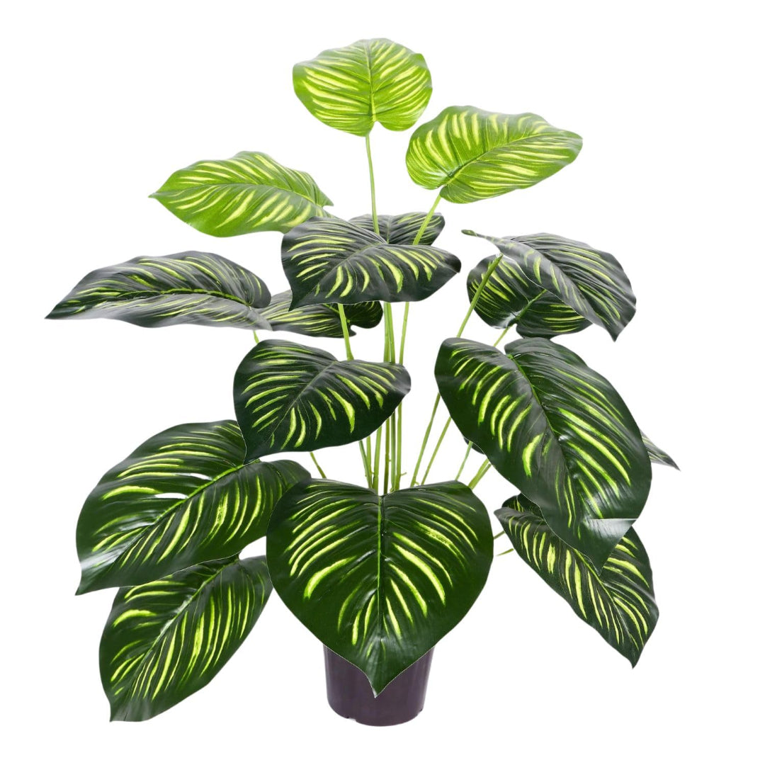 Artificial Plant : Green Zebra in Pot with 125 Real Touch Leaves