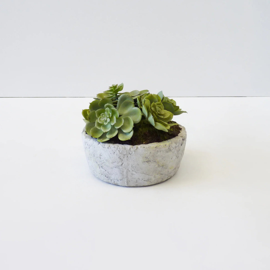 Artificial Plant : Green Potted Succulent Set of 3