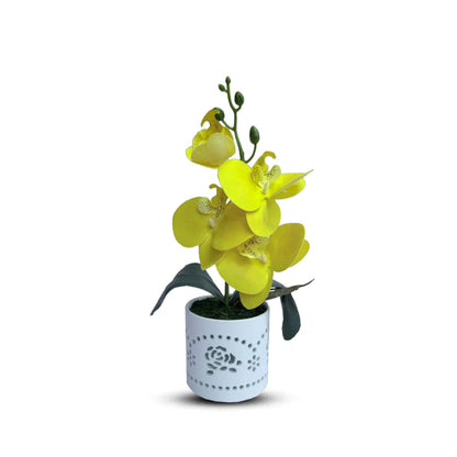 Gorgeous Yellow Mini Orchid In Different Type of Pot - Artificial
