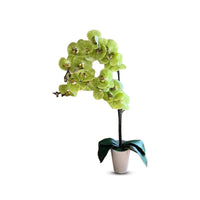 Artificial Stunning Orchids - Perfect Gift
