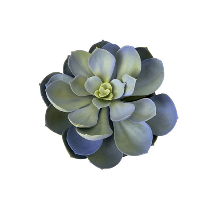 Gorgeous Echeveria in Color of Your Choice - Artificial