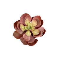Artificial Stunning Crassulla Red Succulent -Good Gift