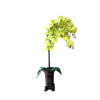 Stunning Orchids in Black Ceramic Legged Pot-Artificial (Perfect Gift)