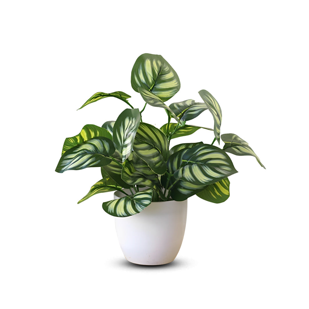 Stunning Peacock Plant in pot of your choice-Artificial-Good Gift