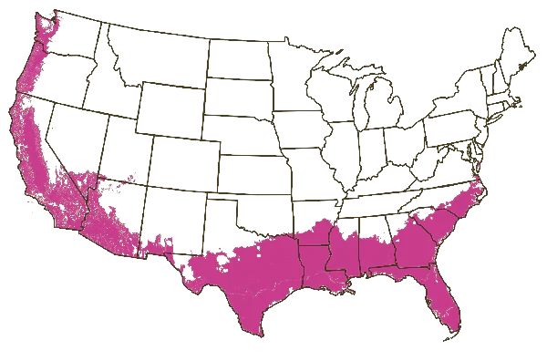 Growing Zones